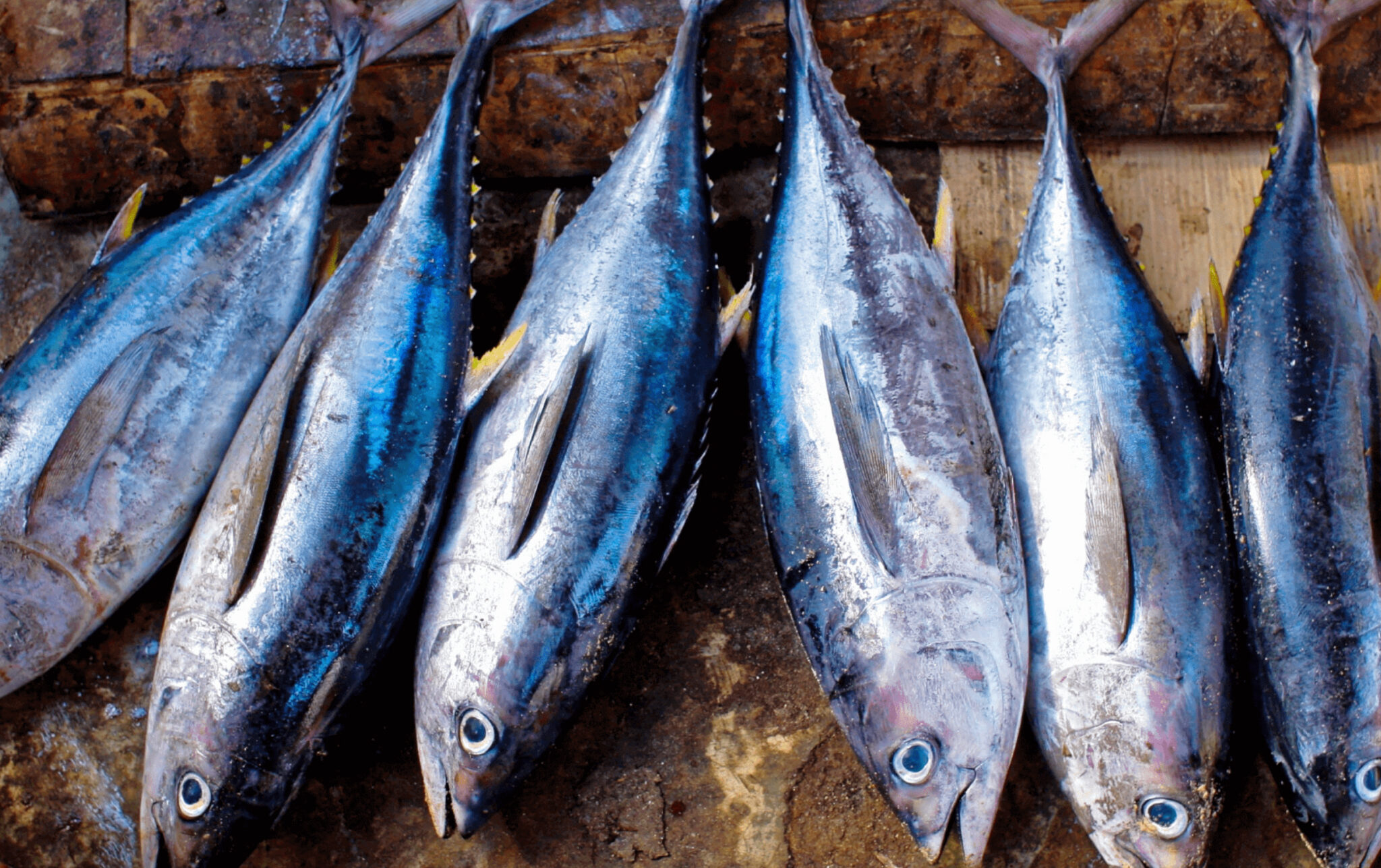 A Place To Go - I segreti del posto