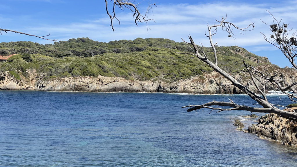 Plage d’Argent - Porquerolles