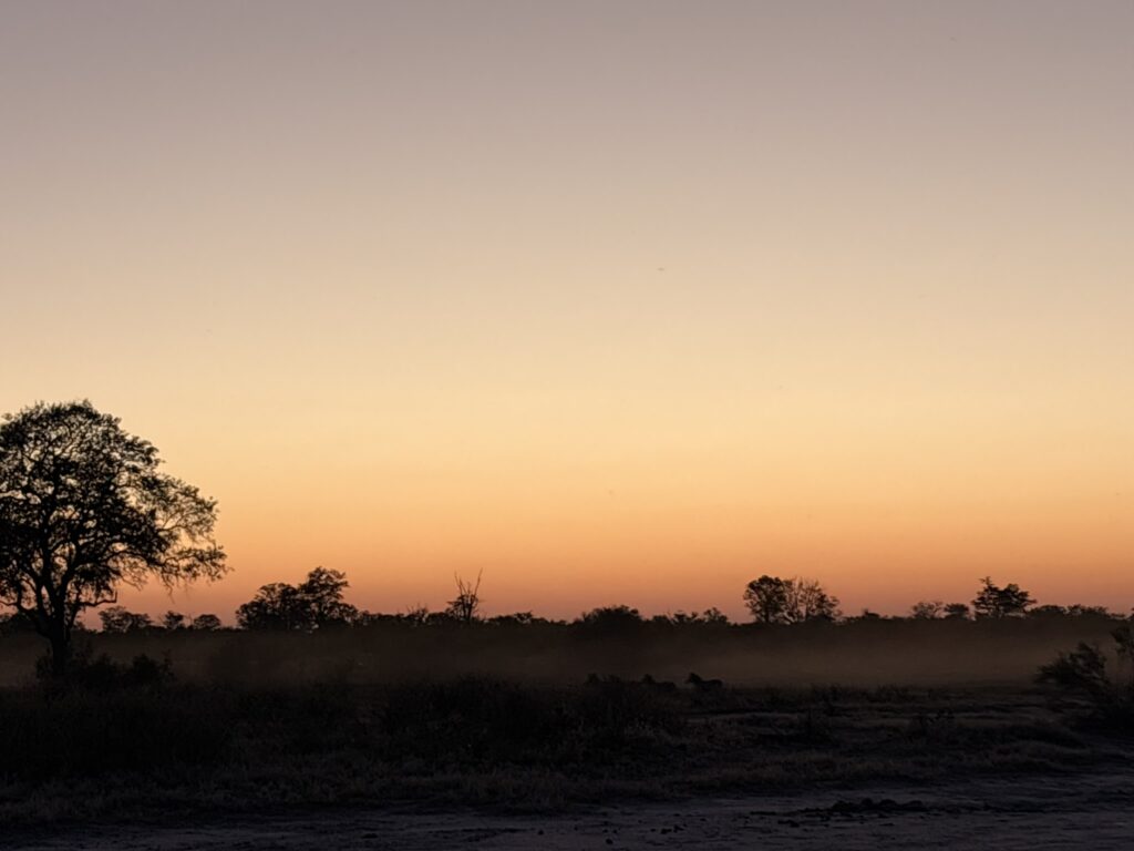 viaggio in Botswana