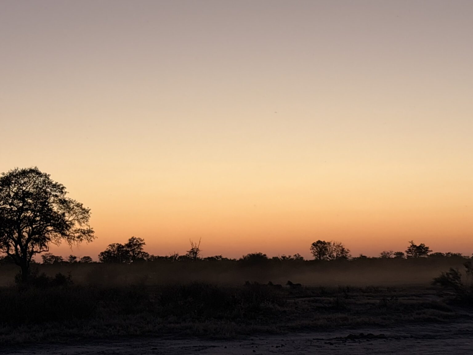 viaggio in Botswana