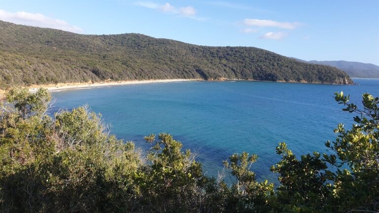 Baia con spiaggia sabbiosa e mare turchese vista da un sentiero costiero tra la macchia mediterranea